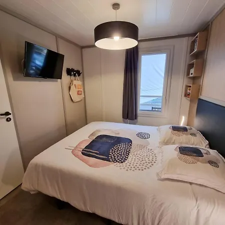 Chalet 18 Confort Pour Un Dans Domaine Avec Piscine Et En Bordure Avec Artificielle Labouheyre