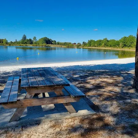 Confort Pour Un Sejour Dans Domaine Avec Piscine Et En Bordure Avec Artificielle Chalet