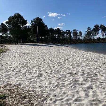 18 Confort Pour Un Dans Domaine Avec Piscine Et En Bordure Avec Artificielle Chalet Labouheyre