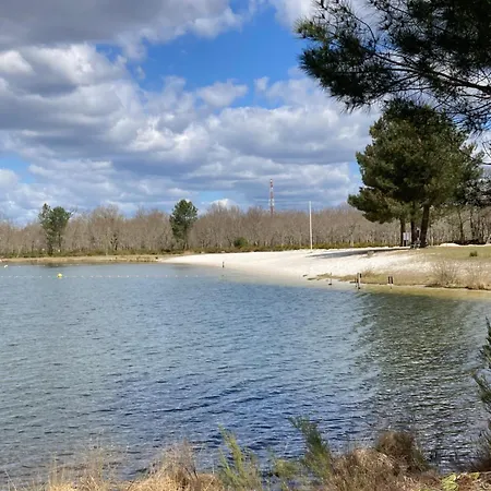 18 Confort Pour Un Dans Domaine Avec Piscine Et En Bordure Avec Artificielle * Labouheyre