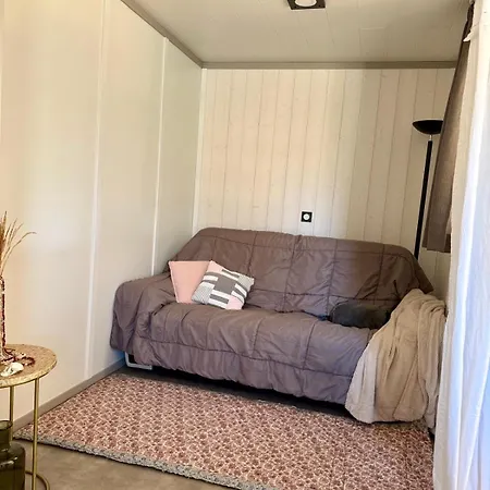 Chalet 18 Confort Pour Un Dans Domaine Avec Piscine Et En Bordure Avec Artificielle